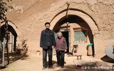 土罐银元,瓷罐银元