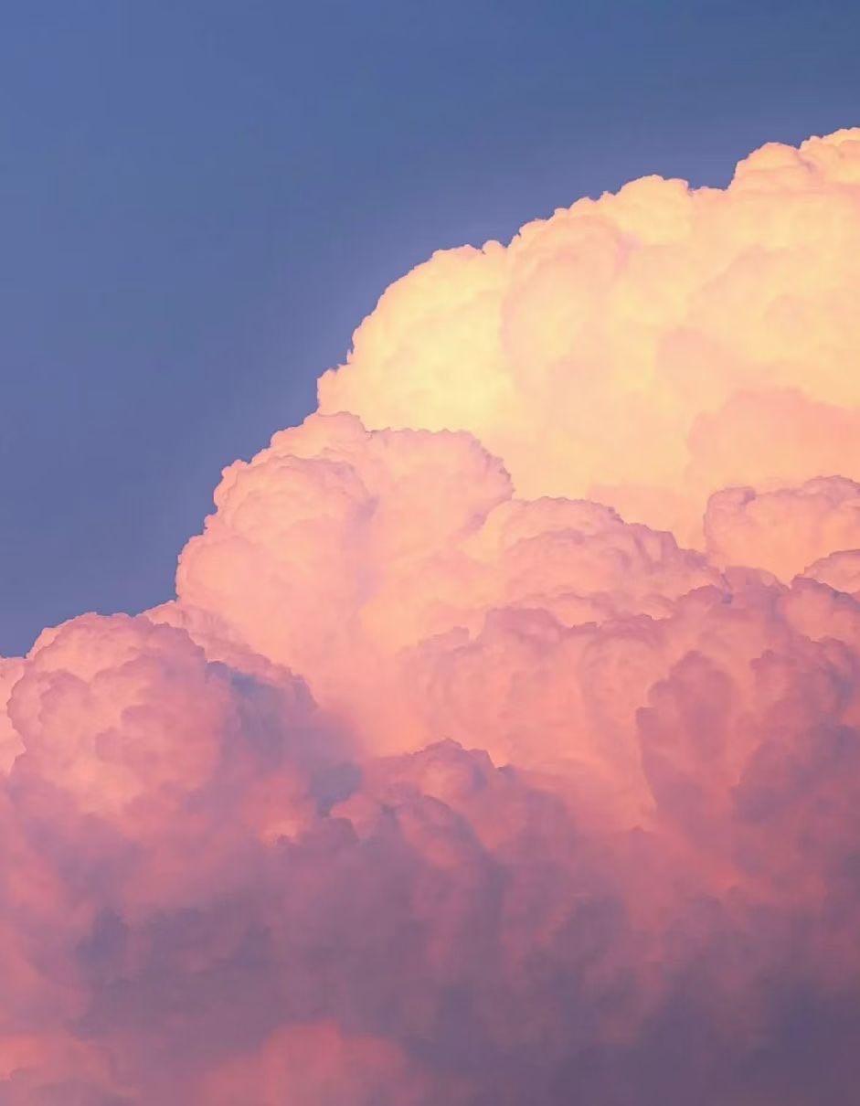 每日一方之清热养血安神助眠酸枣仁汤（二十二）