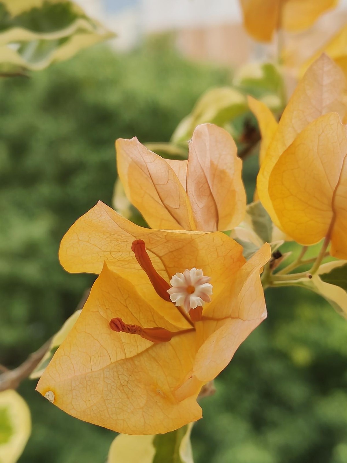 换手机尽量换什么手机,换手机最好用什么手机