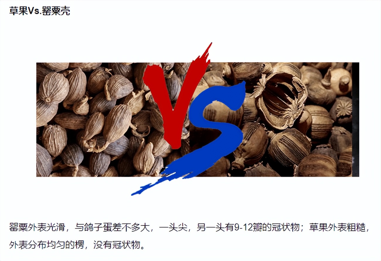 禁毒日公安短视频,禁毒日禁毒宣传短视频