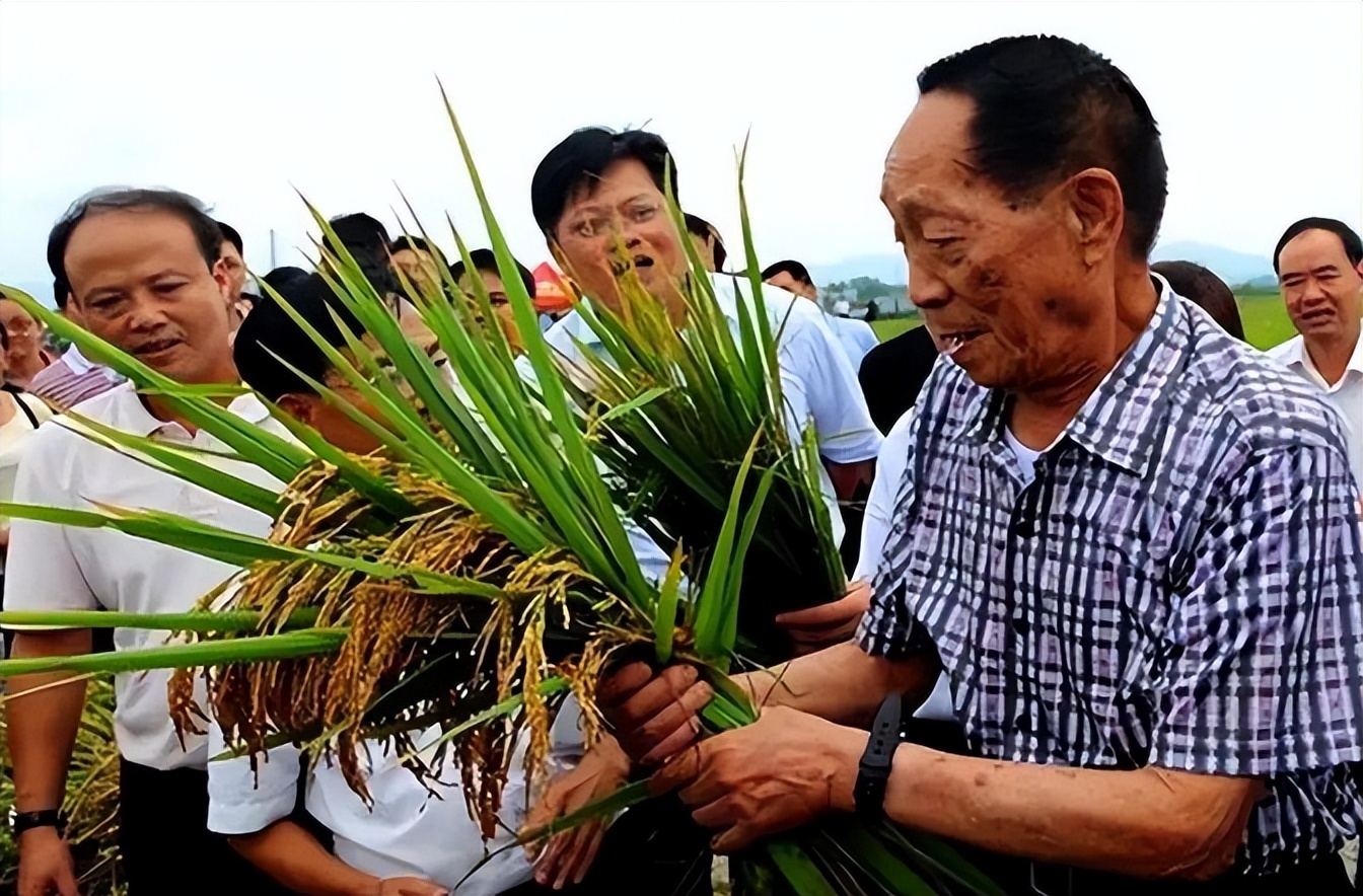 汪海林一语揭开娱乐圈内幕,汪海林谈娱乐圈内幕