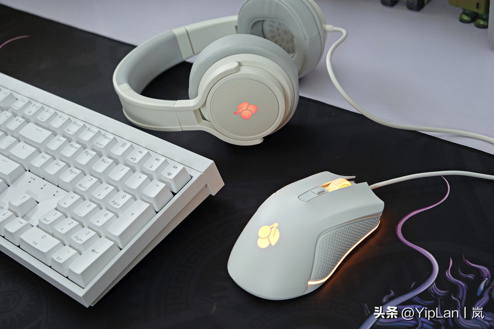 cherry澶栬鎺ㄨ崘,cherry澶栬鍜嬫牱