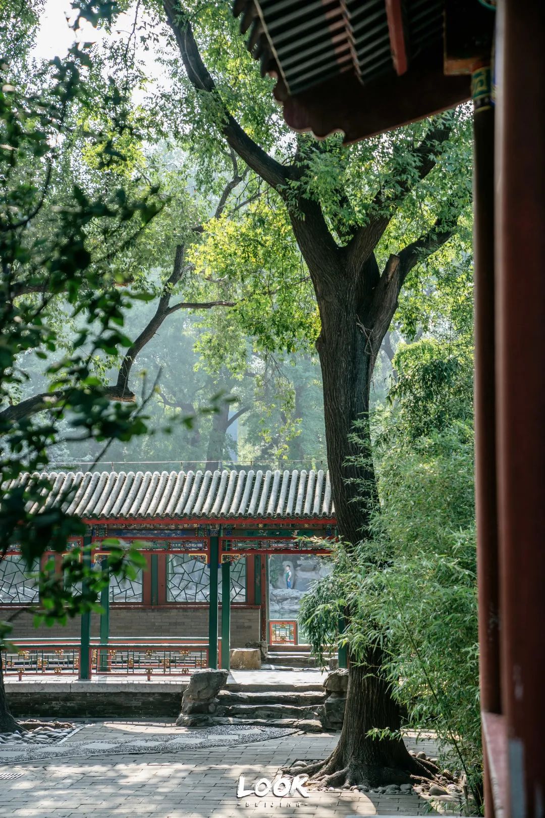 北京什刹海晚上游玩路线,北京什刹海风景秋天攻略