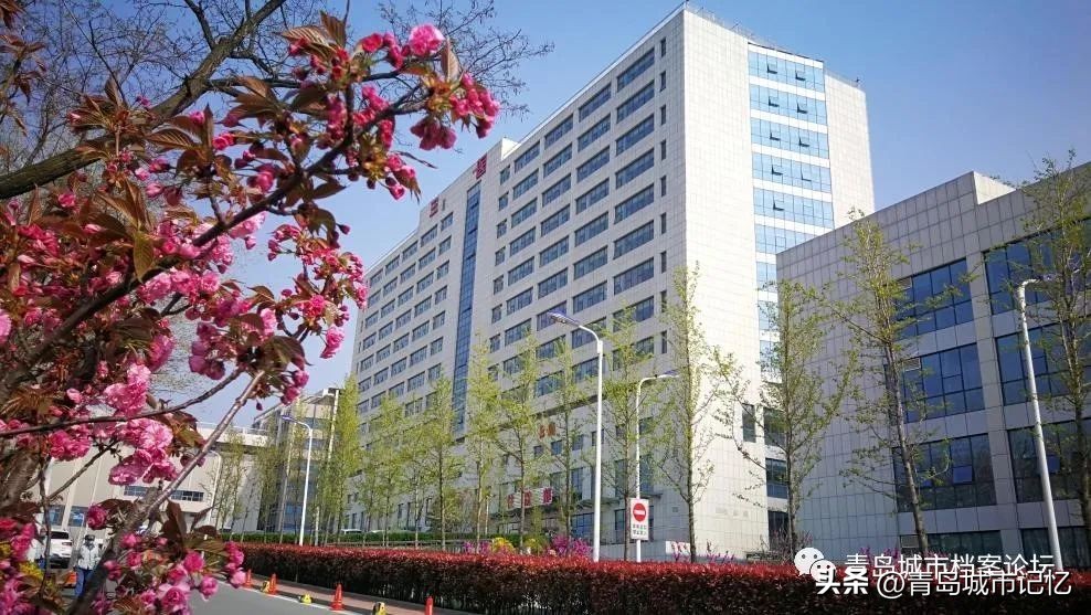 青岛市三医地址在哪,青岛三医是哪个区