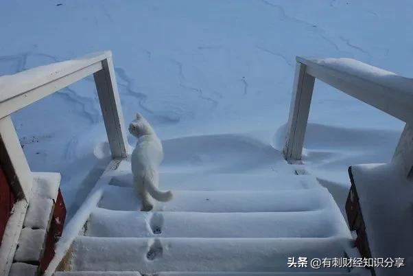 瑞典赫尔辛堡房子最新价格,瑞典哥德堡房子最新价格