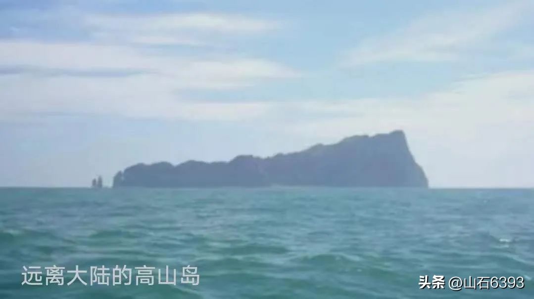 伟力144002和104009对比,伟力104310和104311区别