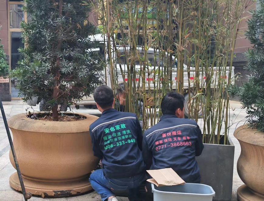 南宁搬家什么时候用到吊装？