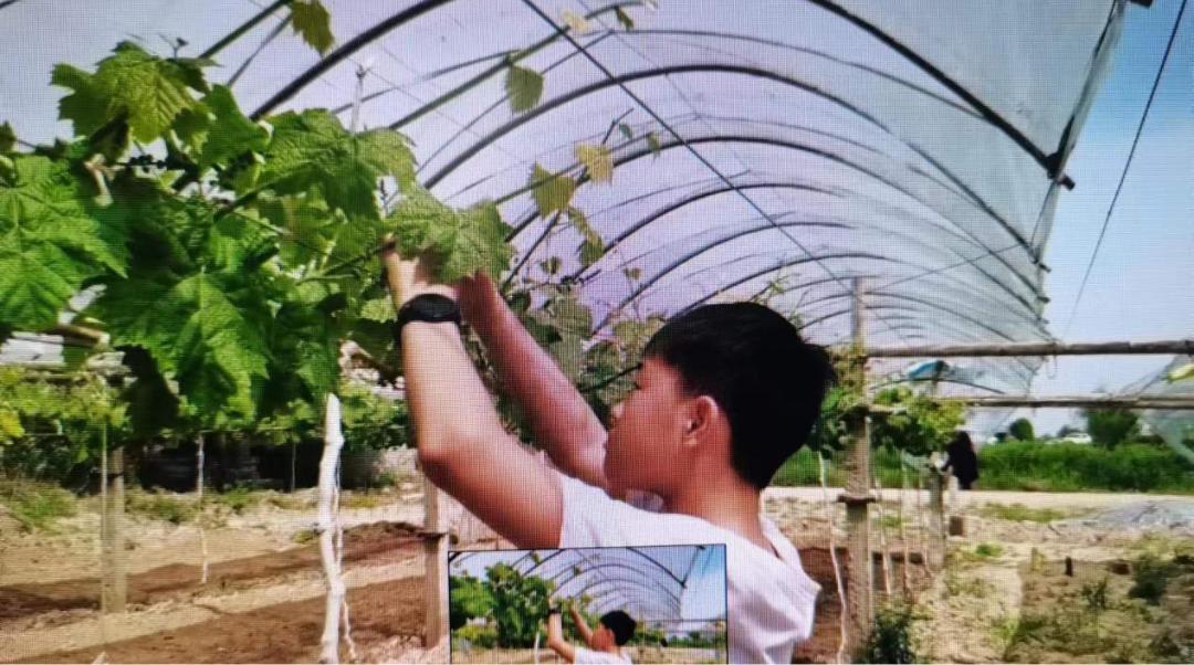 鏂囨槑璁颁簬蹇冪編寰疯返浜庤,鍔冲姩鍕や簬蹇冪編寰疯返浜庤涓婚鐝細