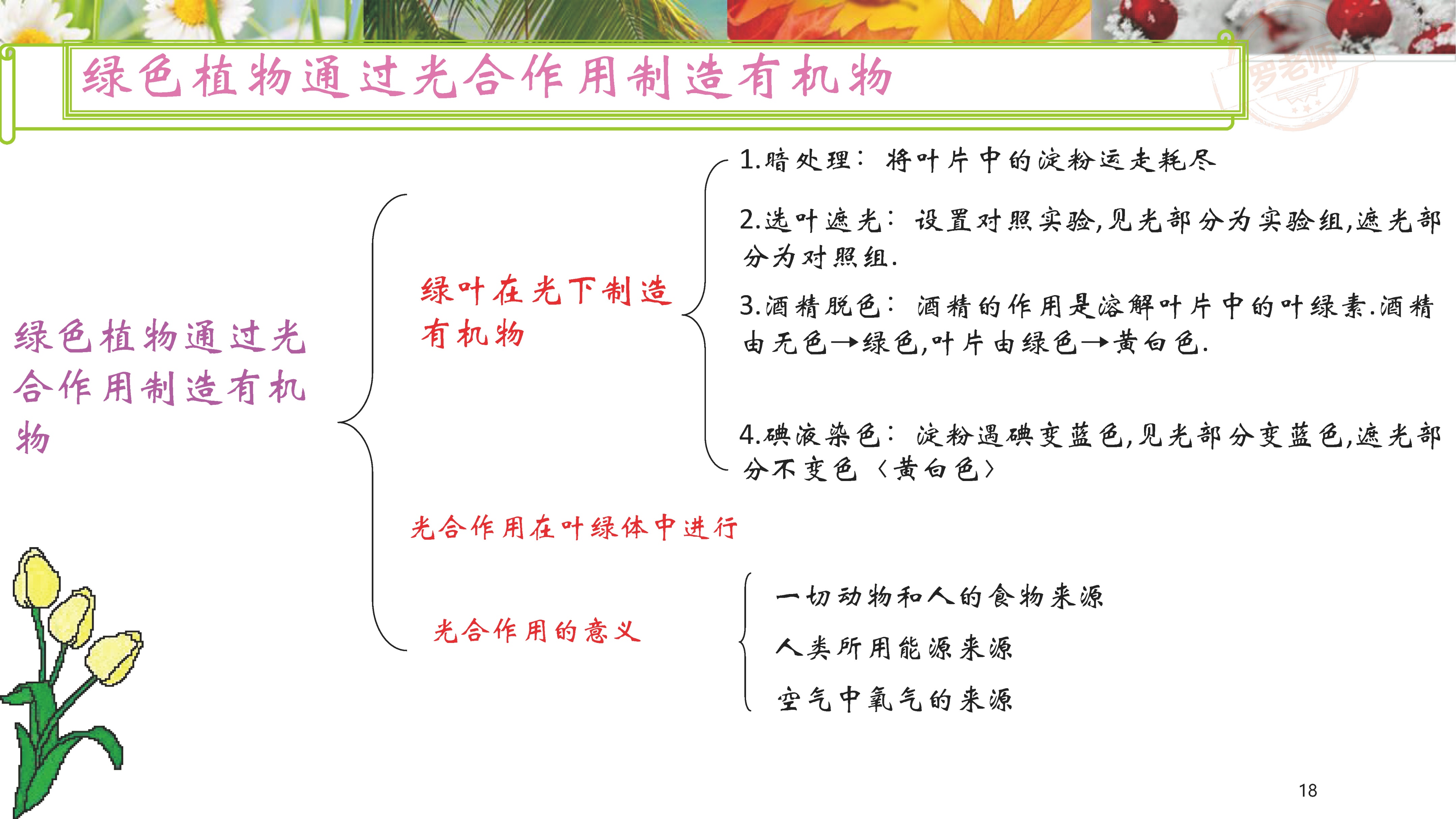 小升初一到六年级复习资料,小升初所有课本