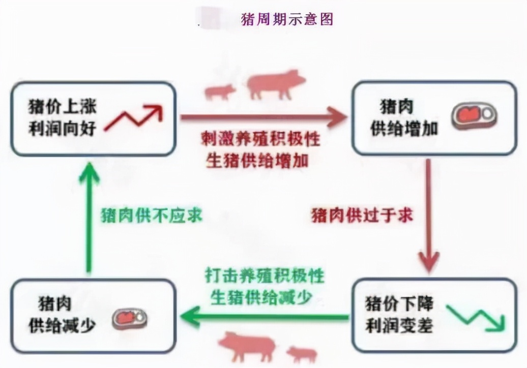 农村穷小子，借钱养猪，把3.1万变成1700亿，成河南首富，凭啥？