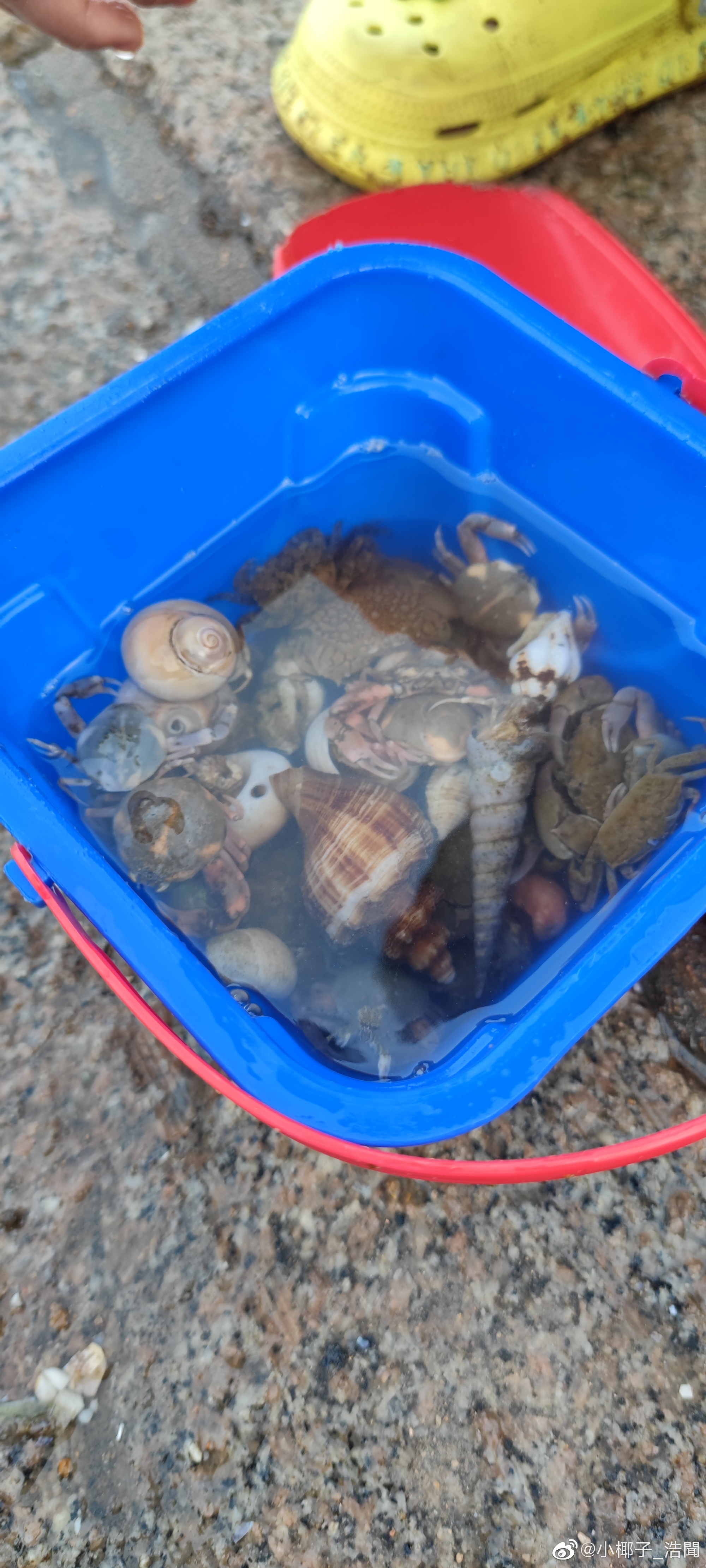 暑假十天山东半岛沿海亲子自驾游记，有详细花费记账