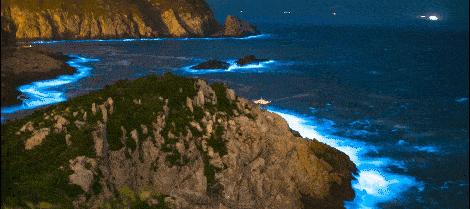 天津东疆港蓝眼泪出现时间,游玩天津东疆港攻略