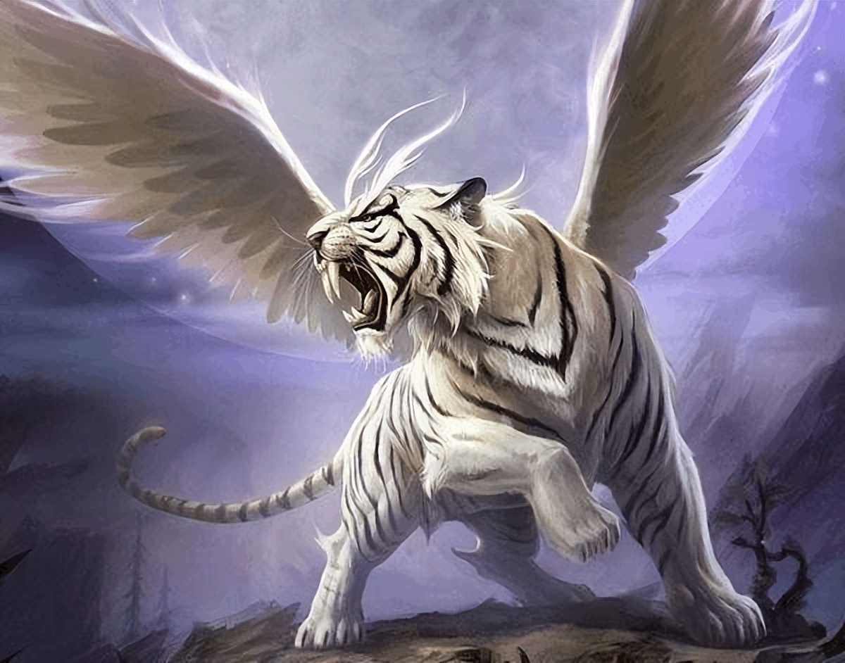 为什么是猫驯化了人类？十二生肖中为什么没有猫？