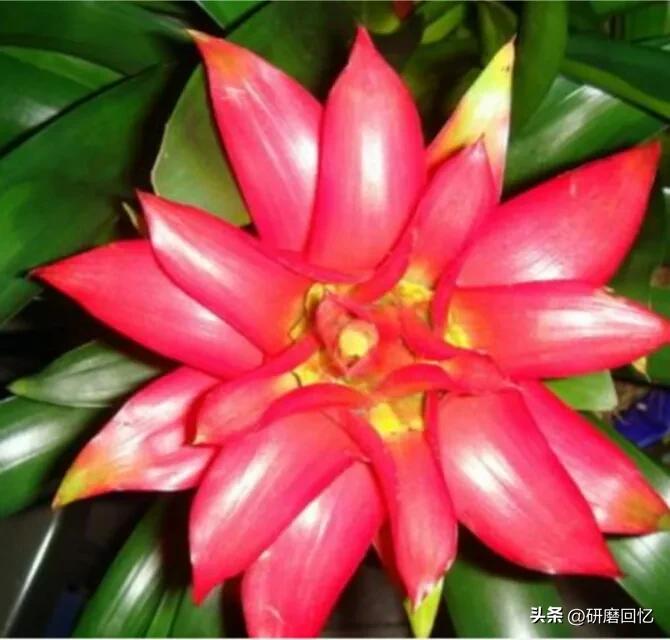 生命只有一次别活得太累,生命只有一次别让自己活得太累了