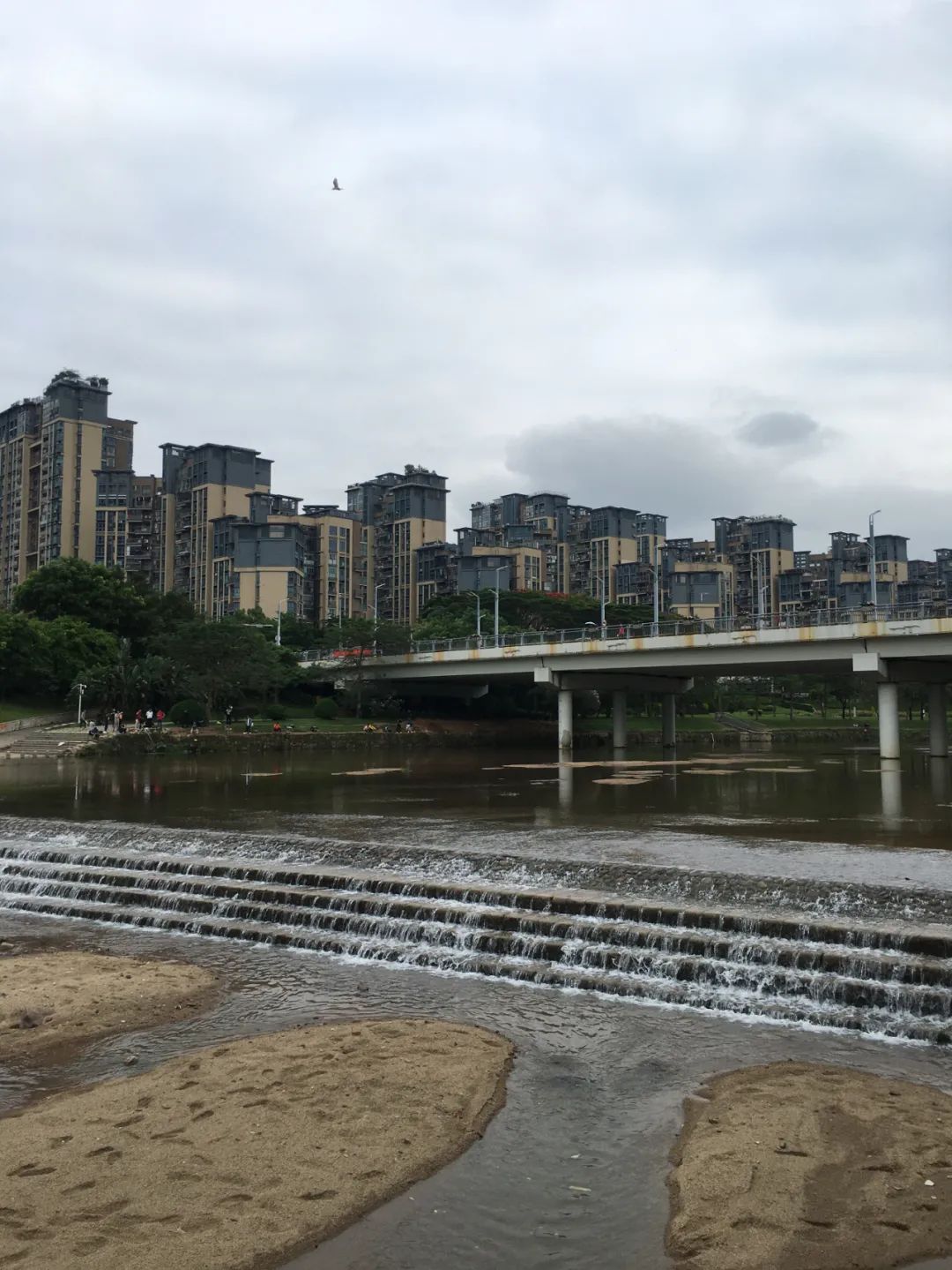 《旭光骑行深圳》第22站——龙华区观湖街道