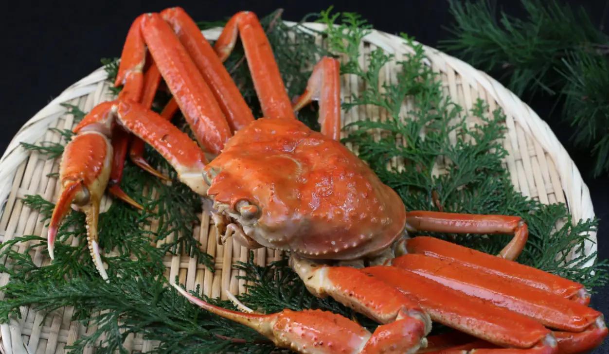 年货必买清单2022走亲访友,过年必备年货种类丰富品质好