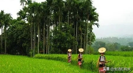 走在乡间的小路上三角梅很漂亮,走在乡间的小路上德宏傣族五重唱