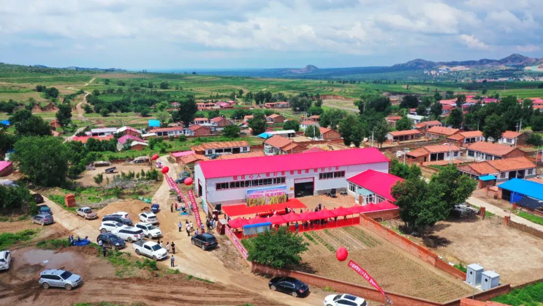 辛巴开启直播带岗招聘新模式，通辽：奈曼山嘴小米直播专场启动