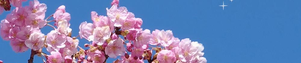 当代艺术的社会政治批判性：商业化与社会接受度的挑战与前景