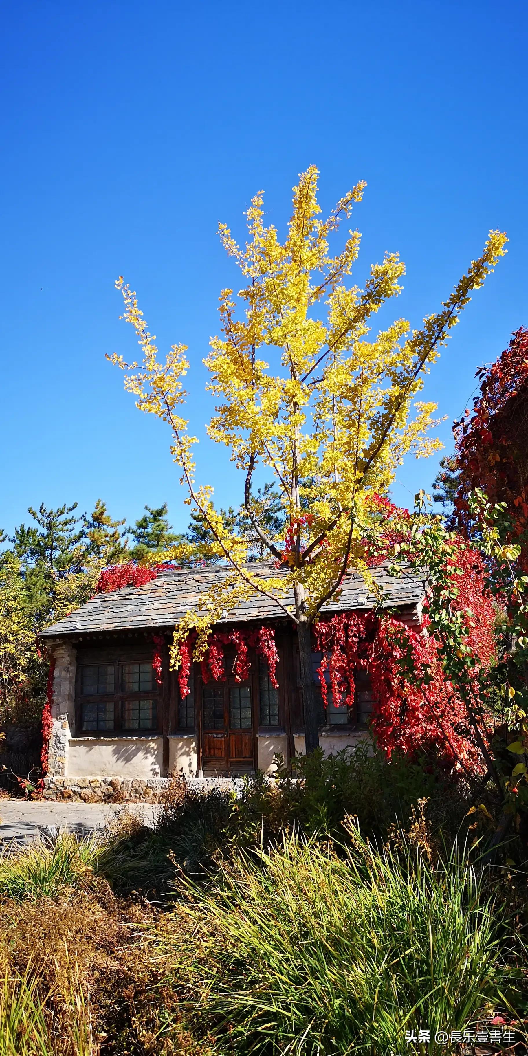 古北水镇二日游景点,古北水镇二日游自驾票