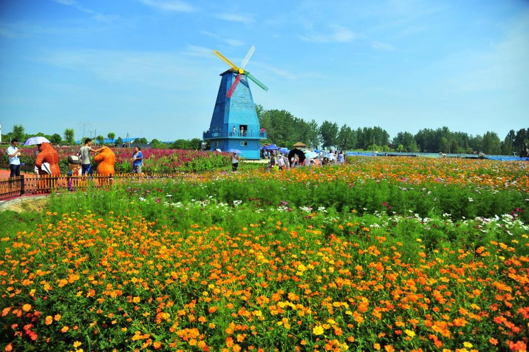 合肥大理旅游线路,合肥15天自驾游路线推荐表