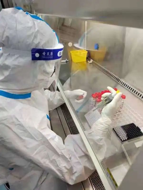 10合1混合检测日检达15万人份!“秘密*器武**”助核酸检测全面提速