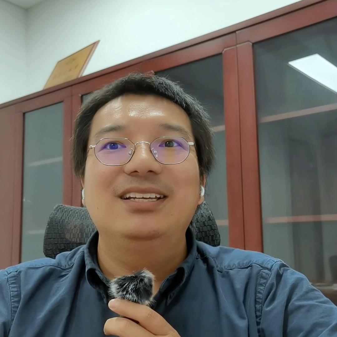 电力现货交易负电价,胜利说国语视频