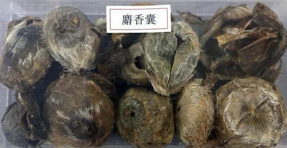 每天学习一味中药阿魏,每天学习一味中药藿香