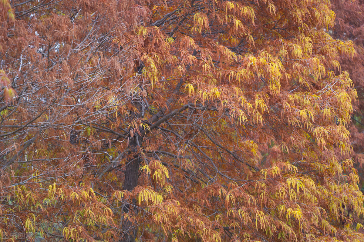 厦门旅游攻略必逛景点推荐,厦门攻略必逛景点一日游