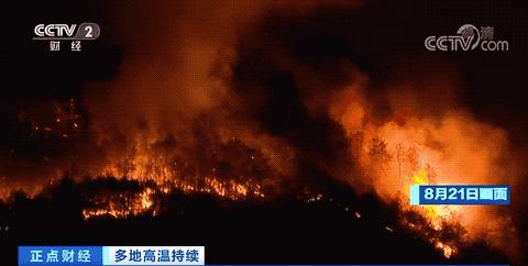 四川山火救援灭火,四川消防24小时把守防止山火复燃