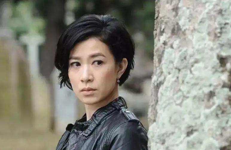 历代tvb视后,17位tvb视后今昔对比