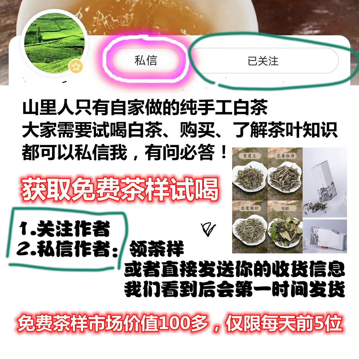 有哪些茶属于白茶,政和白茶洞洞茶