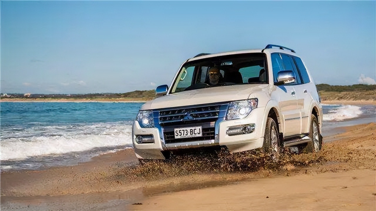 瑕疵山猫帕杰罗,山猫帕杰罗骨子里的傲气