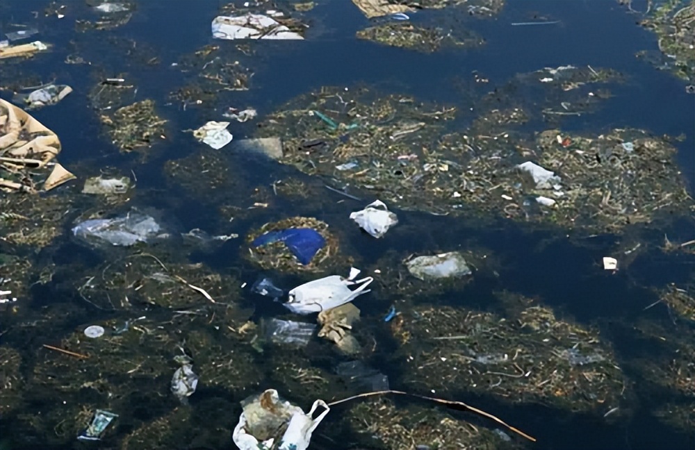 农妇洗衣服,农妇河边洗衣服引争议