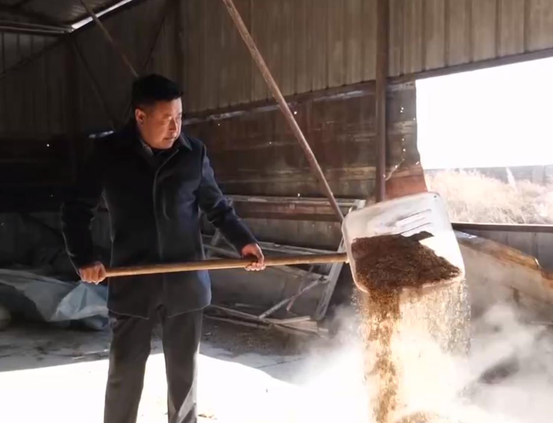 养鹅3000只被拐走,东北大爷养大鹅被大雁拐走3000只