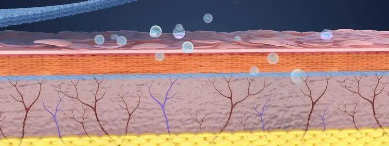 日本以油养肤,日本以油养肤是什么油