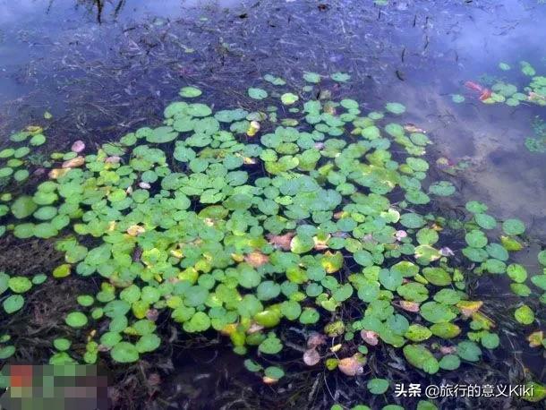 上海自驾西山旅游攻略,苏州东山一日游自驾游最佳路线图