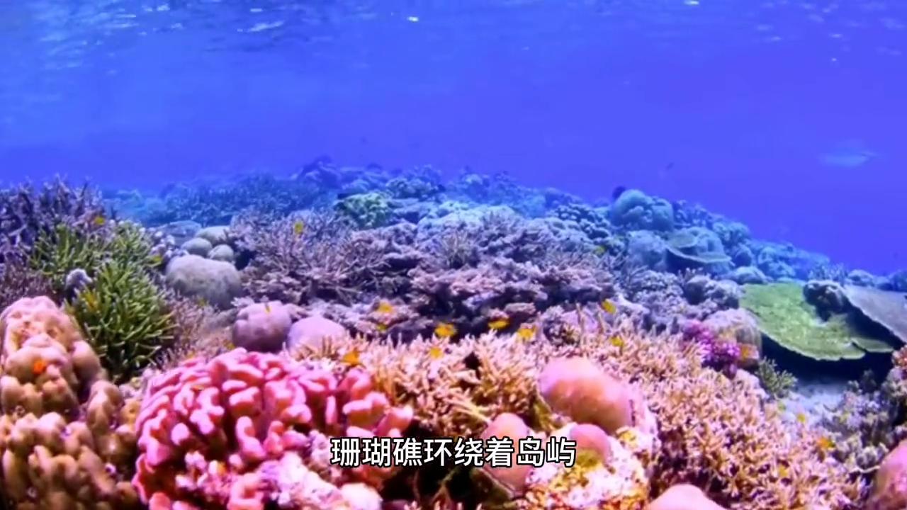 【海南日月岛】中国南海之滨的美丽天堂