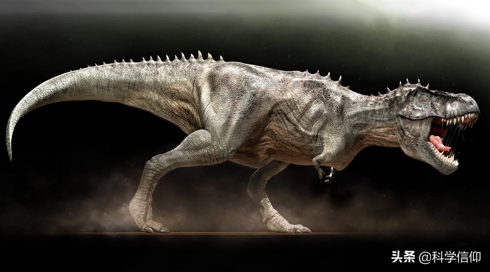 谁是最强的霸王龙,霸王龙和巨兽龙哪个最厉害