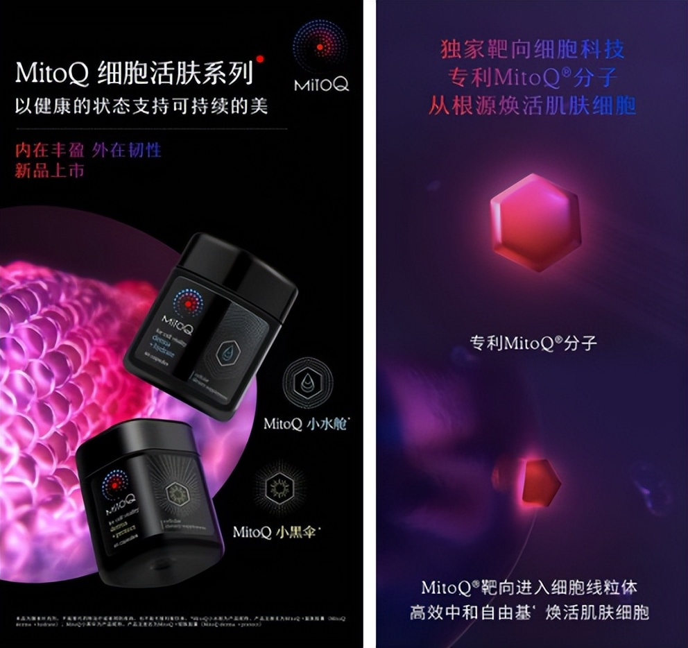 美·有生命，新西兰MitoQ推出全新细胞活肤系列产品，让美生生不息