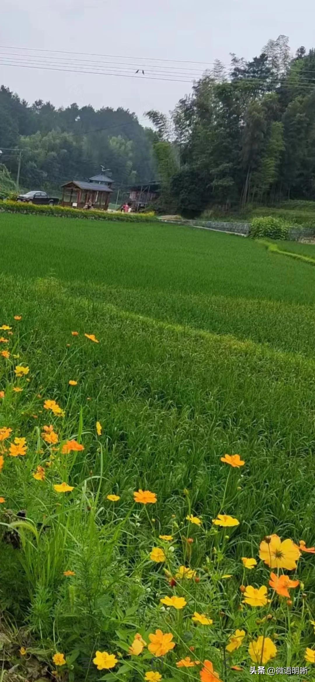 【微语明晰（1102）】EPC全咨实务之一