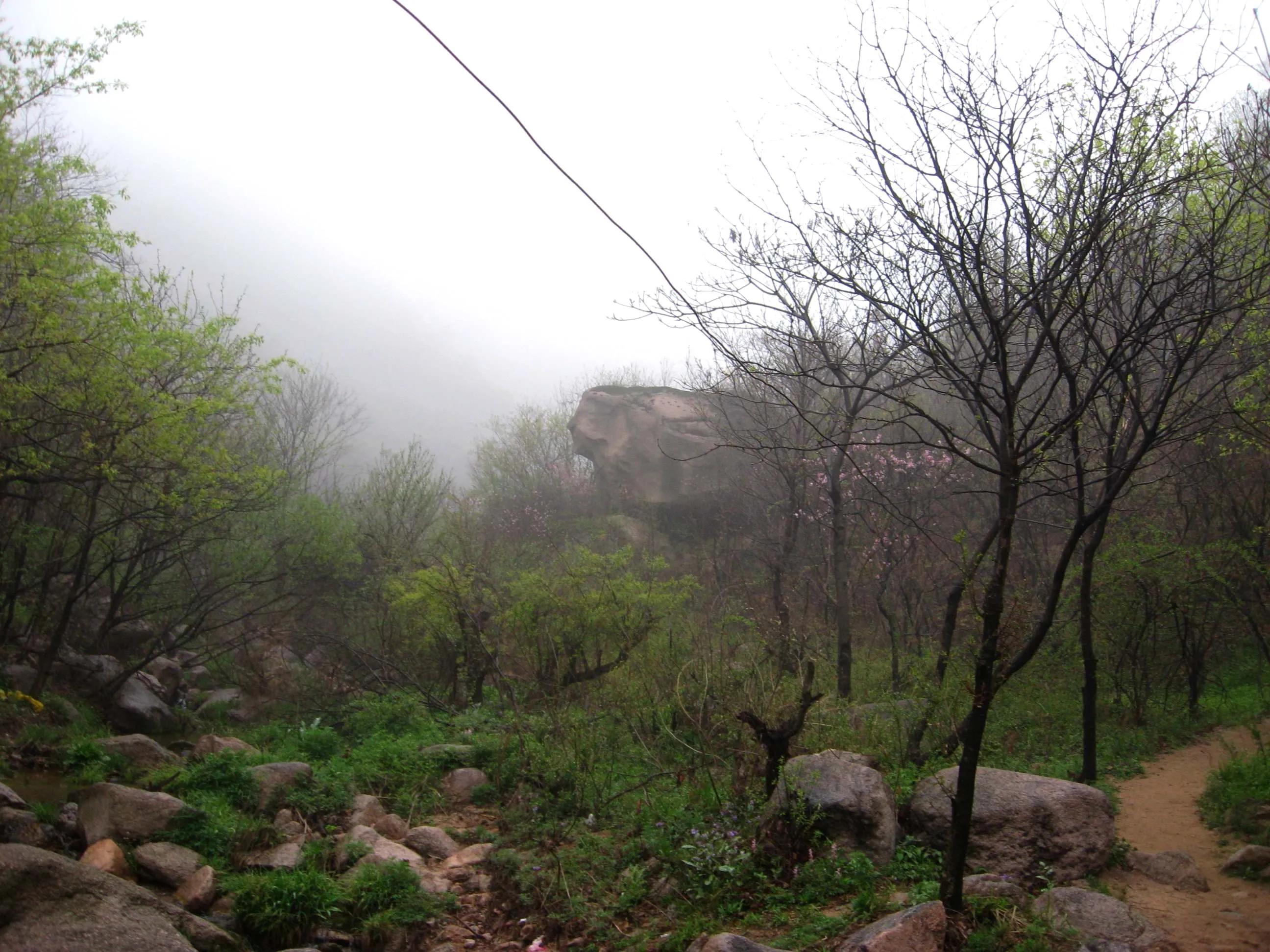 我的驴行日记黑龙潭采摘,我的户外驴行日记