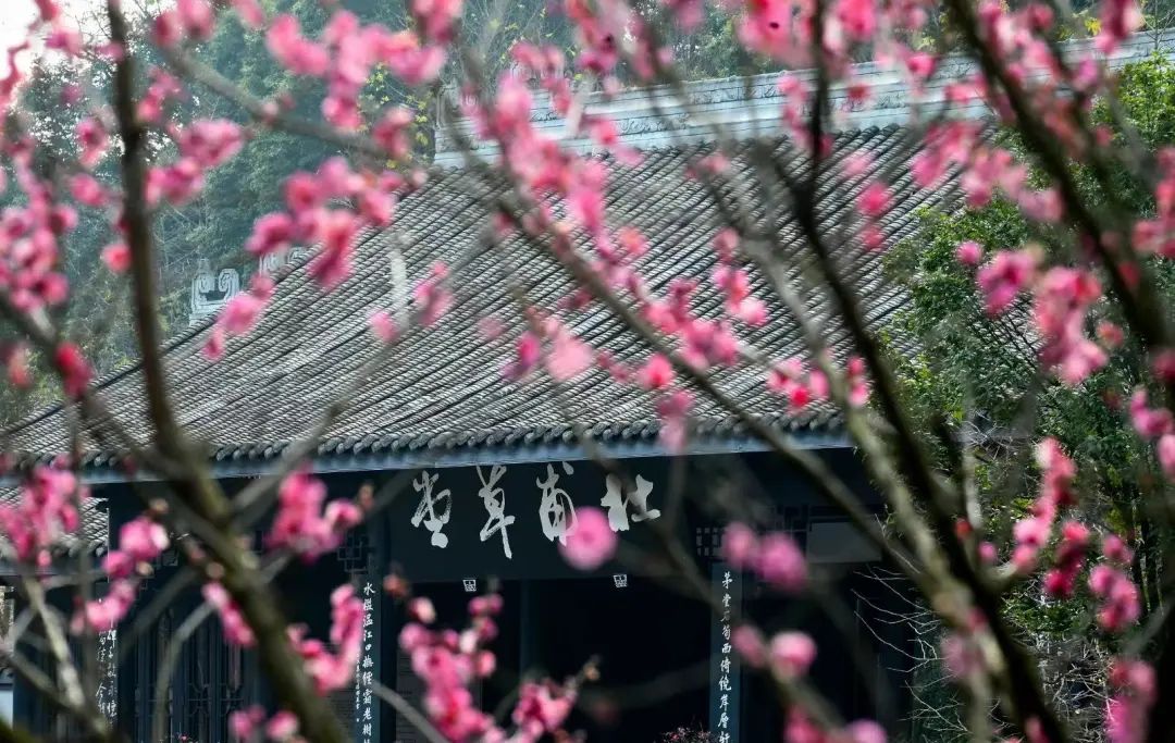 春节成都游玩全攻略出炉,春节成都游玩攻略来了