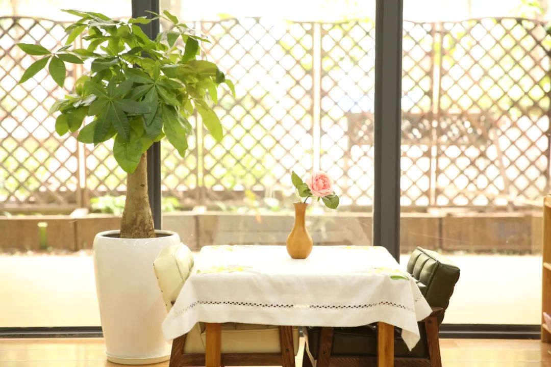 国际蒙氏幼儿园,深圳南山蒙氏幼儿园