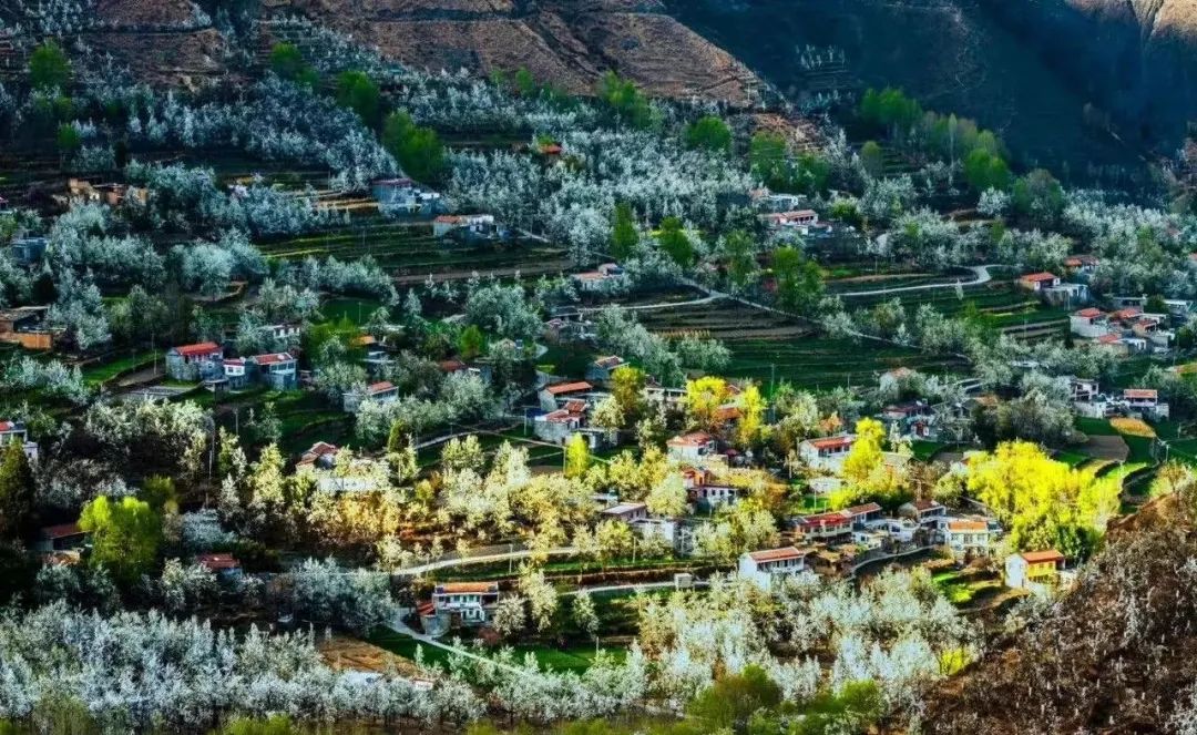 火出圈啦,甘孜文旅局长化身侠客火出圈