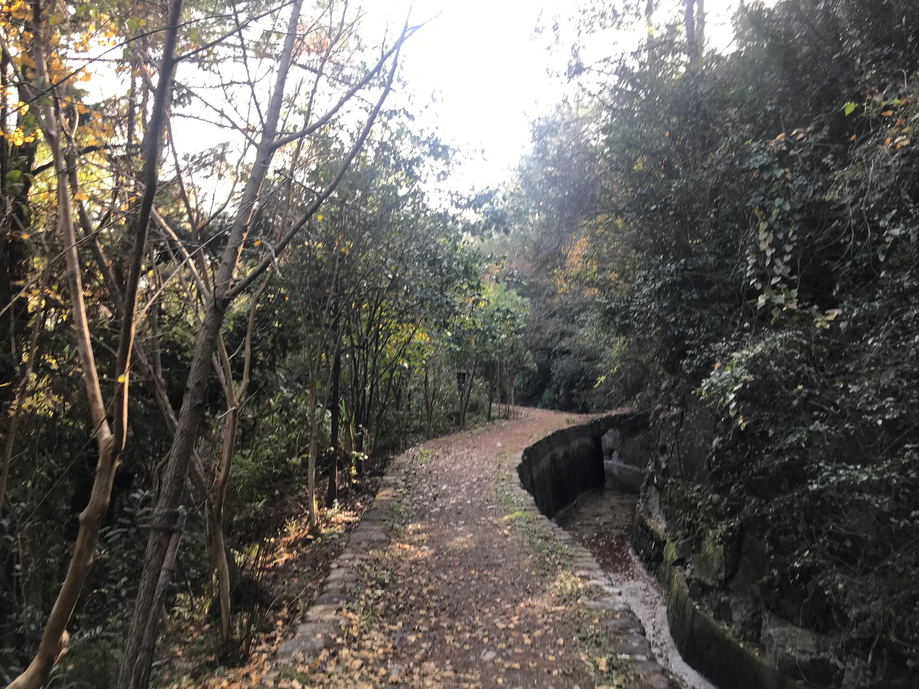 桐庐芦茨湾农家乐三日之行,桐庐县芦茨农家乐推荐