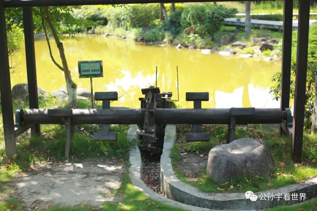 平湖东湖景区,东湖景区平湖八大景致