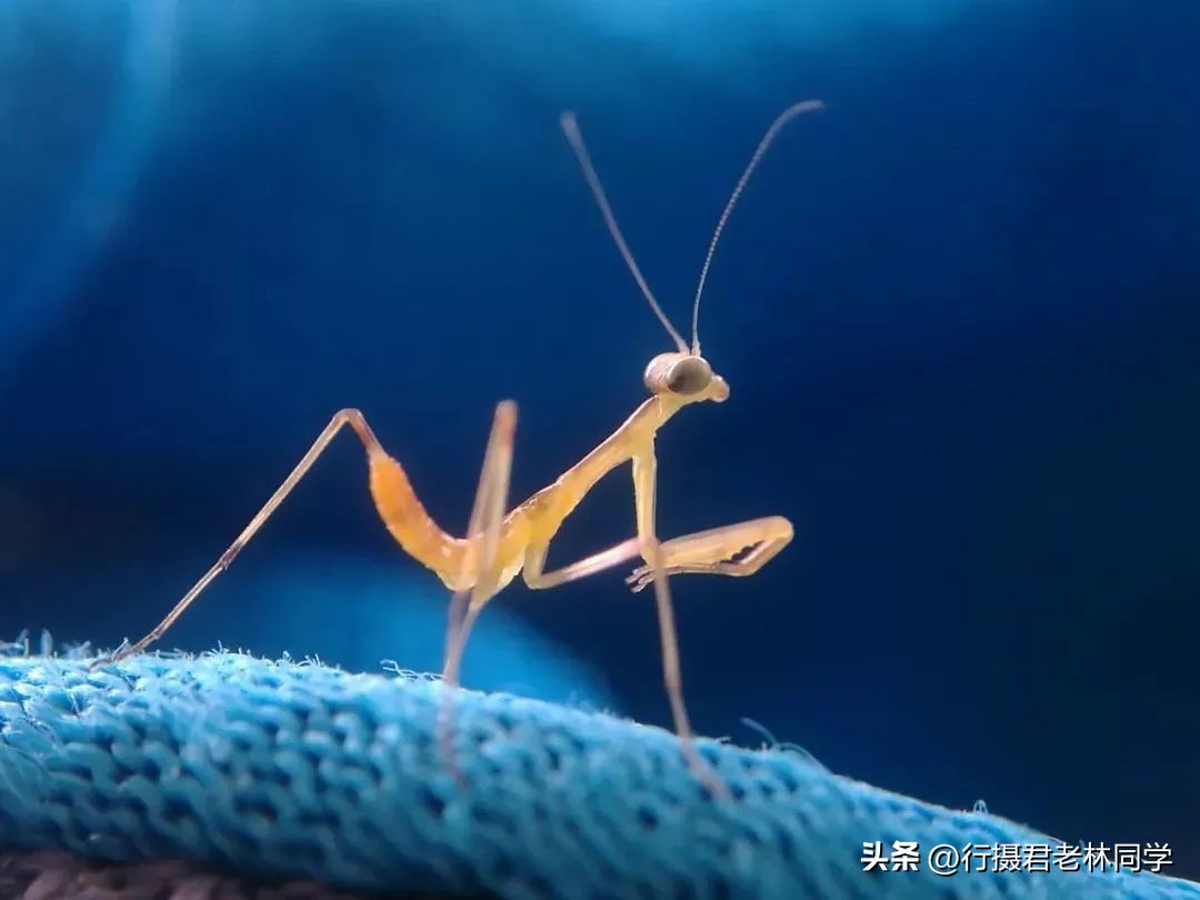 手机拍照和手机摄影的区别,手机拍照摄影基础知识入门