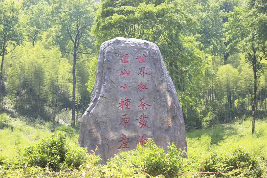 红茶最新的产品标准号,红茶各品种测评标准表最新