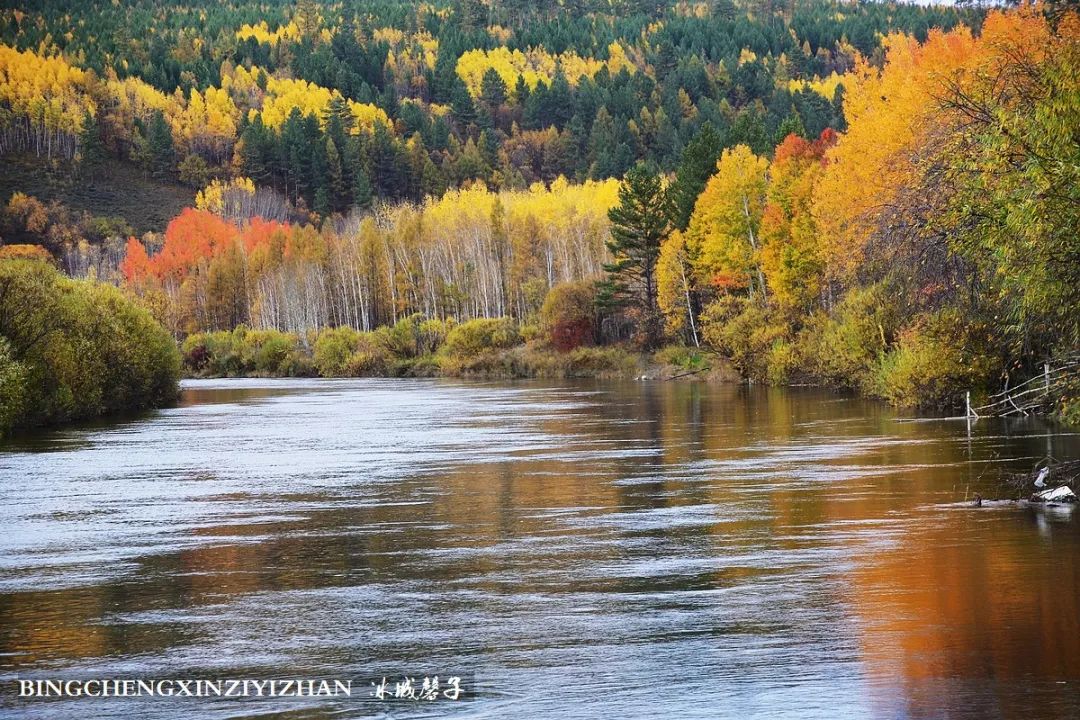 秋天大兴安岭最美的地方,秋天美丽的大兴安岭